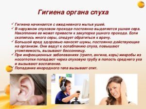 Правильная гигиена ушей в целях профилактики тугоухости