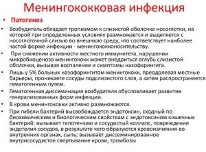 Менингококковая инфекция