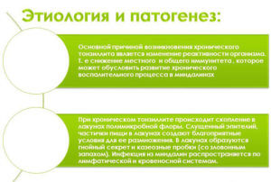 Патогенез хронического тонзиллита