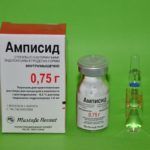 Амписид