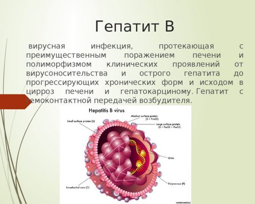 Гепатит