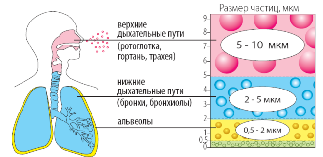 Схема действия небулайзера