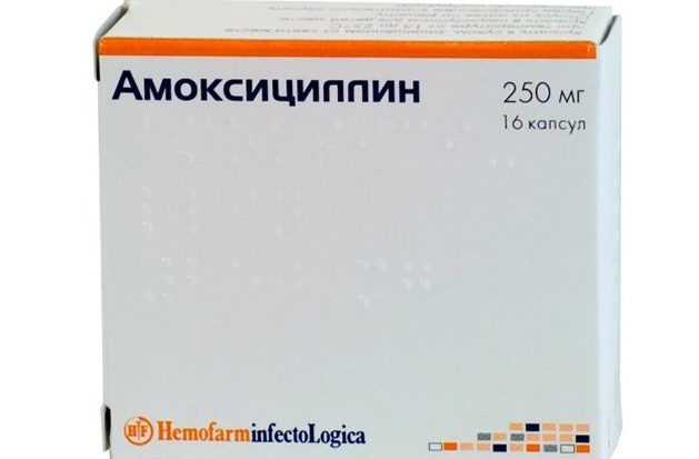 Амоксициллин