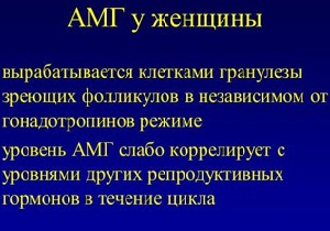 АМГ у женщин
