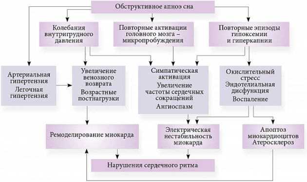 Устройства для СиПАП-терапии от компании Breas