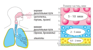 Распределение частиц аэрозоля