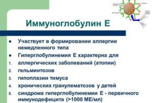 Иммуноглобулин E