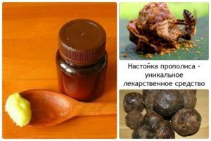 Лечение насморка прополисом