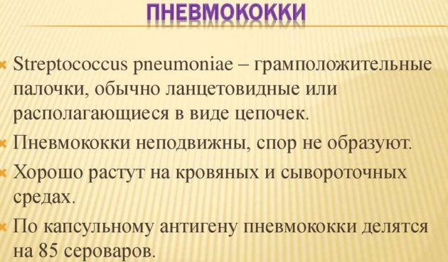 Пневмококки