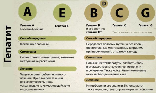 Гепатит