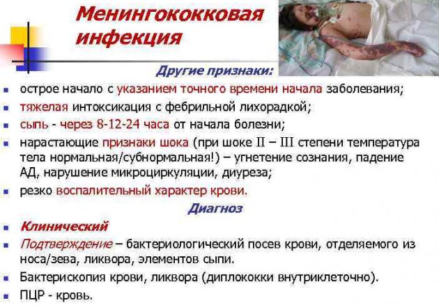Менингококковая инфекция