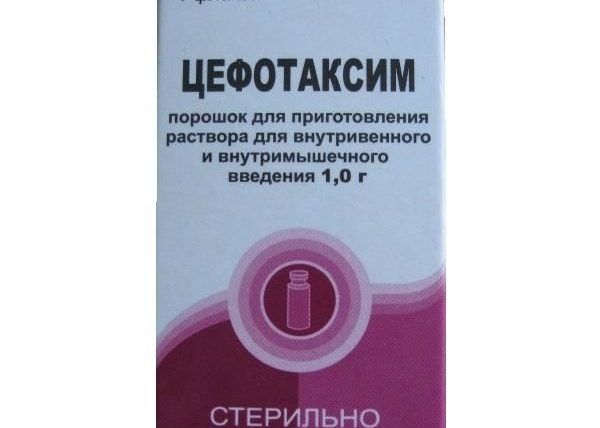 Цефотаксим