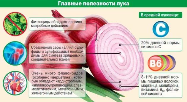 Лечение луком