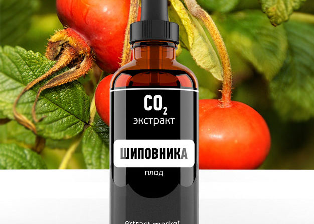 Экстракт шиповника Экстракт шиповника