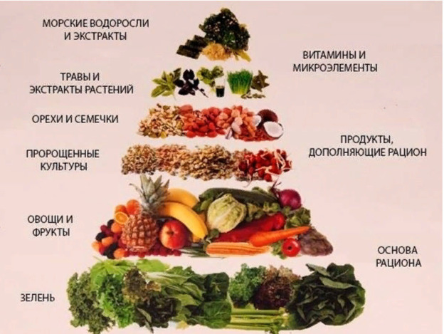 Что такое сыроедение?