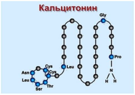 Кальцитонин