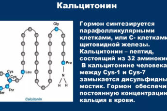 кальцитонин 2.00