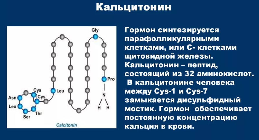 кальцитонин 2.00