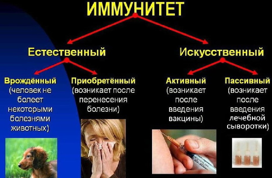 Причины развития 
