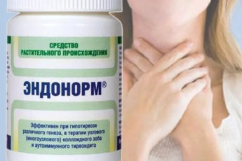 эндонорм