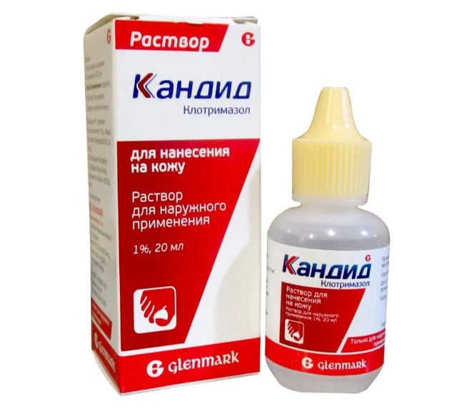 Кандид