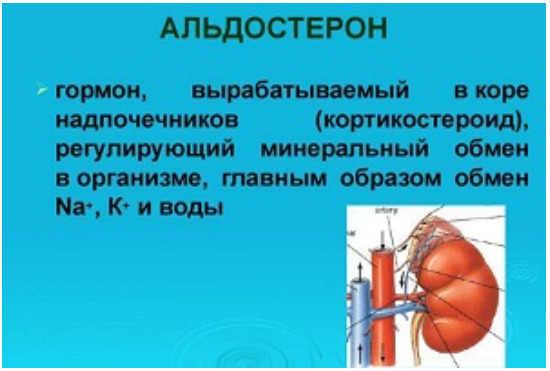 Альдостерон