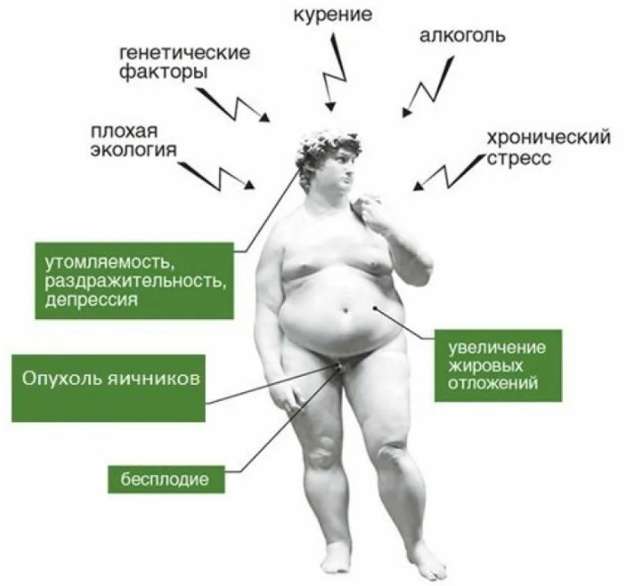 тестостерон у женщин