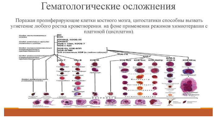 Гематологические осложнения после COVID-19