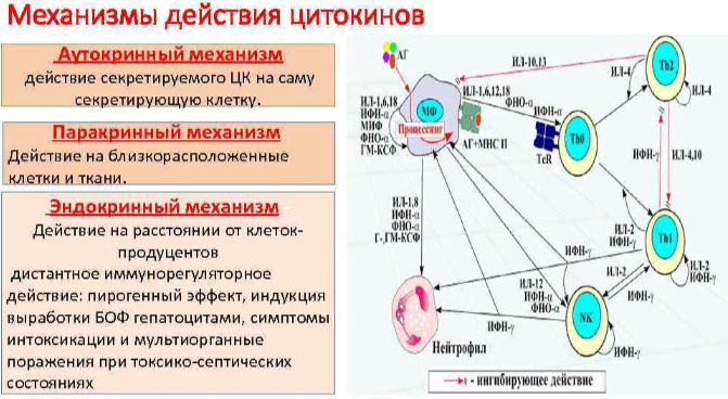 Лимфаденопатия после COVID-19