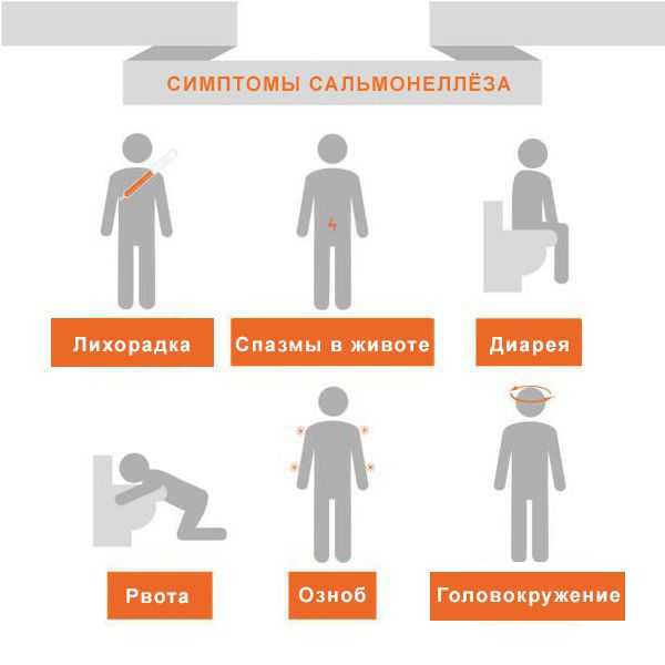 Сальмонеллез: причины, симптомы и способы предотвращения