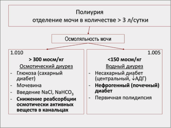 Полиурия